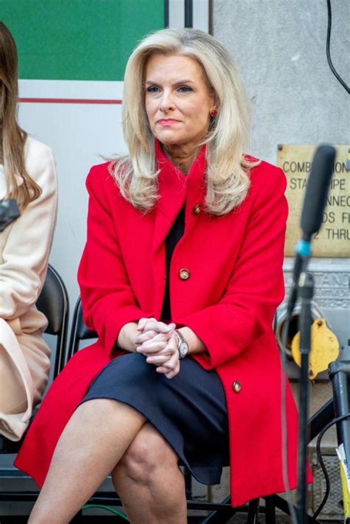 Unmasking The Journey Of Fox News Janice Dean