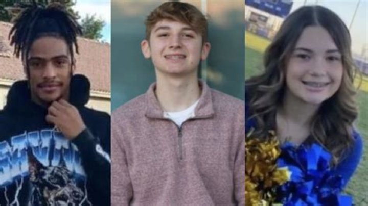 Unraveling The Mystery Of Gilbert Goons' Girlfriend