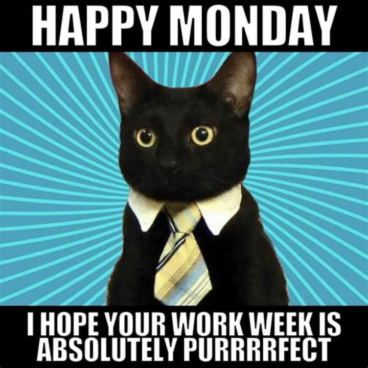 Ultimate Monday Motivation: The Funniest Happy Monday Memes