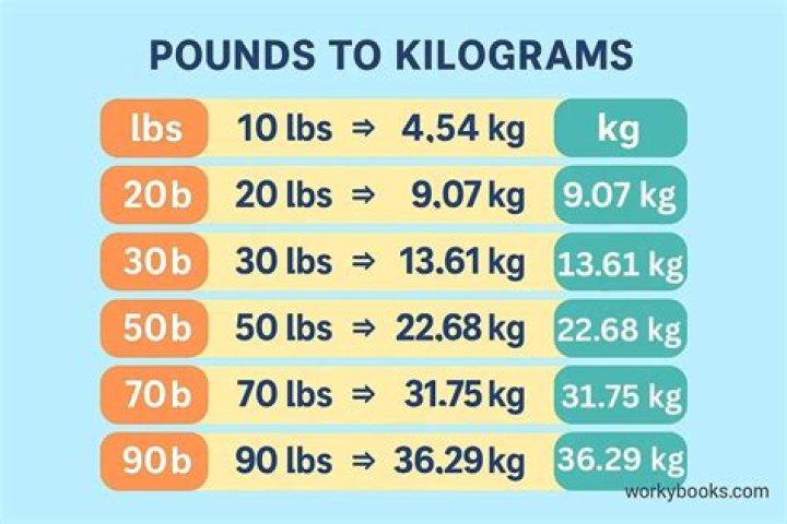 Understanding The Conversion: How Many Pounds Is 18.6 Kg?