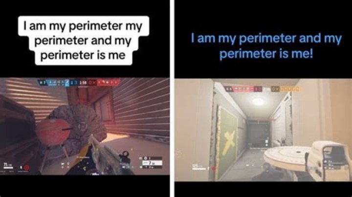 I Am My Perimeter: Defining Boundaries And Self-Identity