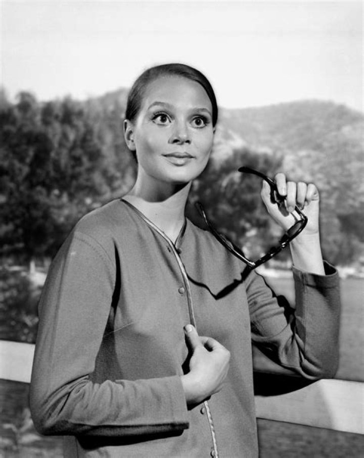 Discovering Leigh Taylor-Young In 2023: A Journey Through Time