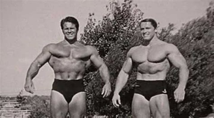 The Ultimate Guide To Meinhard Schwarzenegger: From Actor To Governor