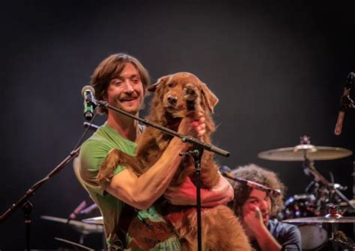 Discovering The Enigma: Scott Woodruff Age And More