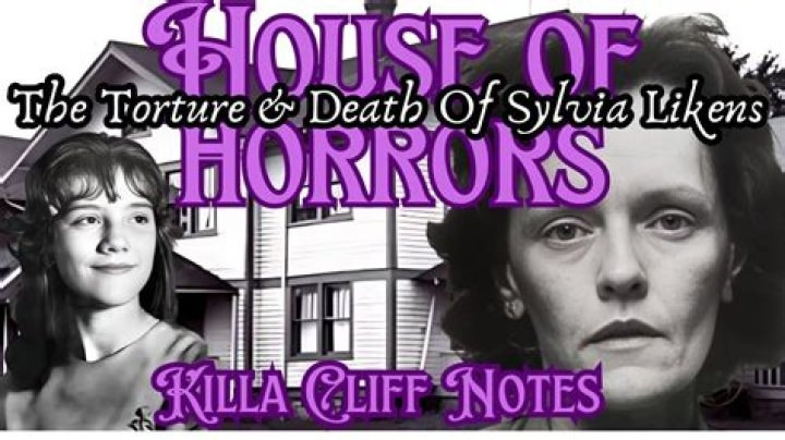 Sylvia Like S: A Journey Through Her Creative World