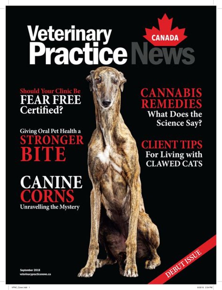 Innovations And Insights In Veterinary Practice News