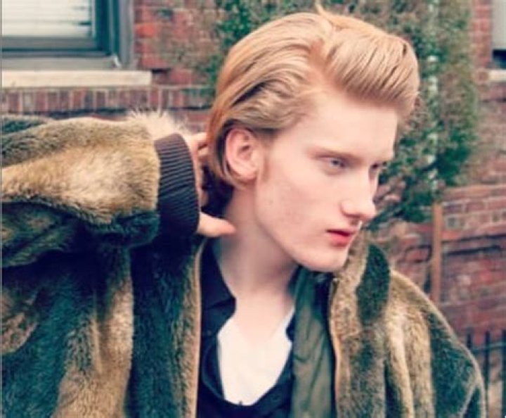 Unveiling The Charismatic World Of Viktor Olbrychski