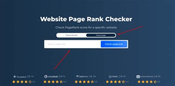 Comprehensive Website Rank API: Elevate Your Search Visibility